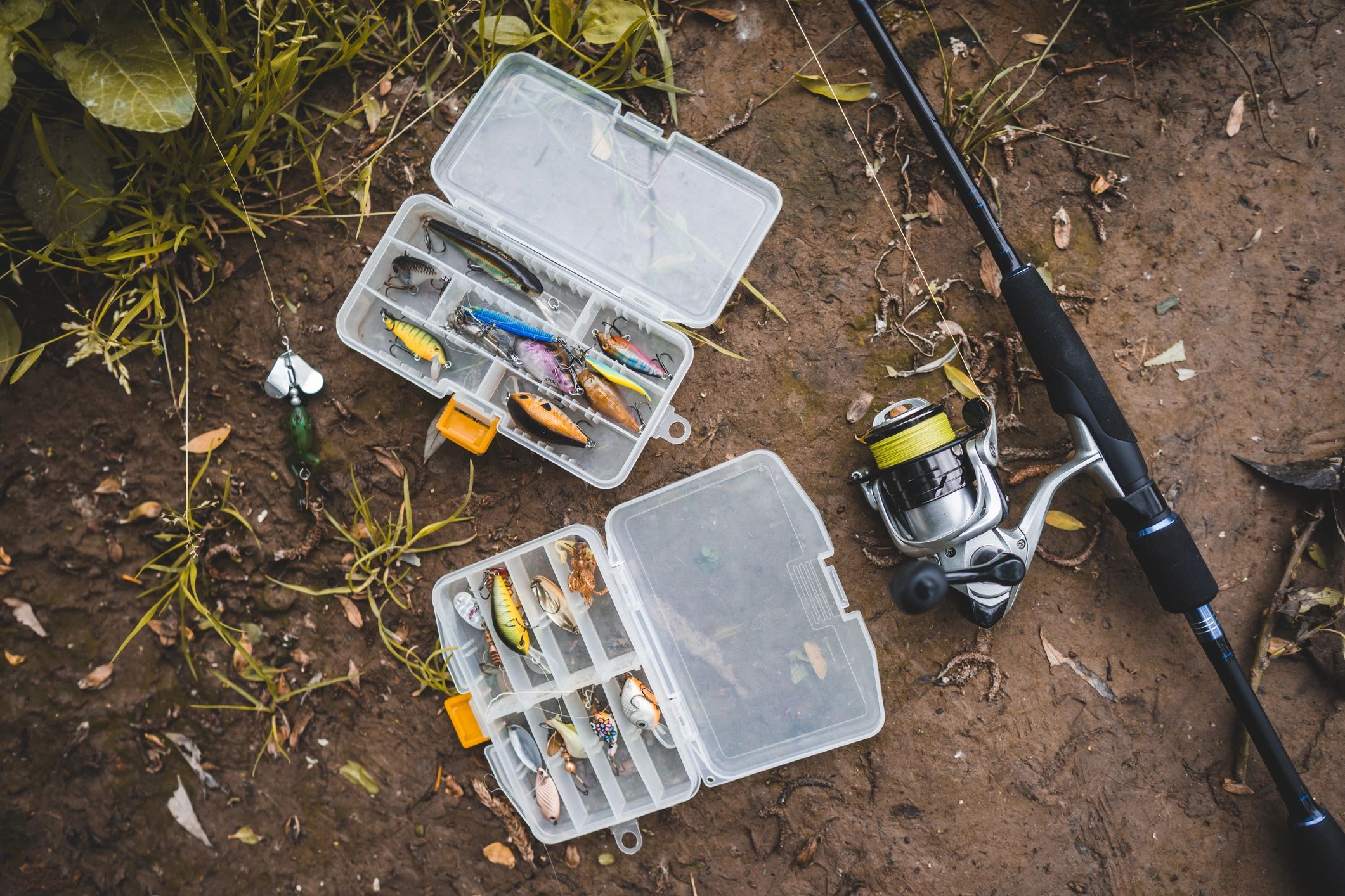 Fishing rod and lures arranged as a gear flat lay