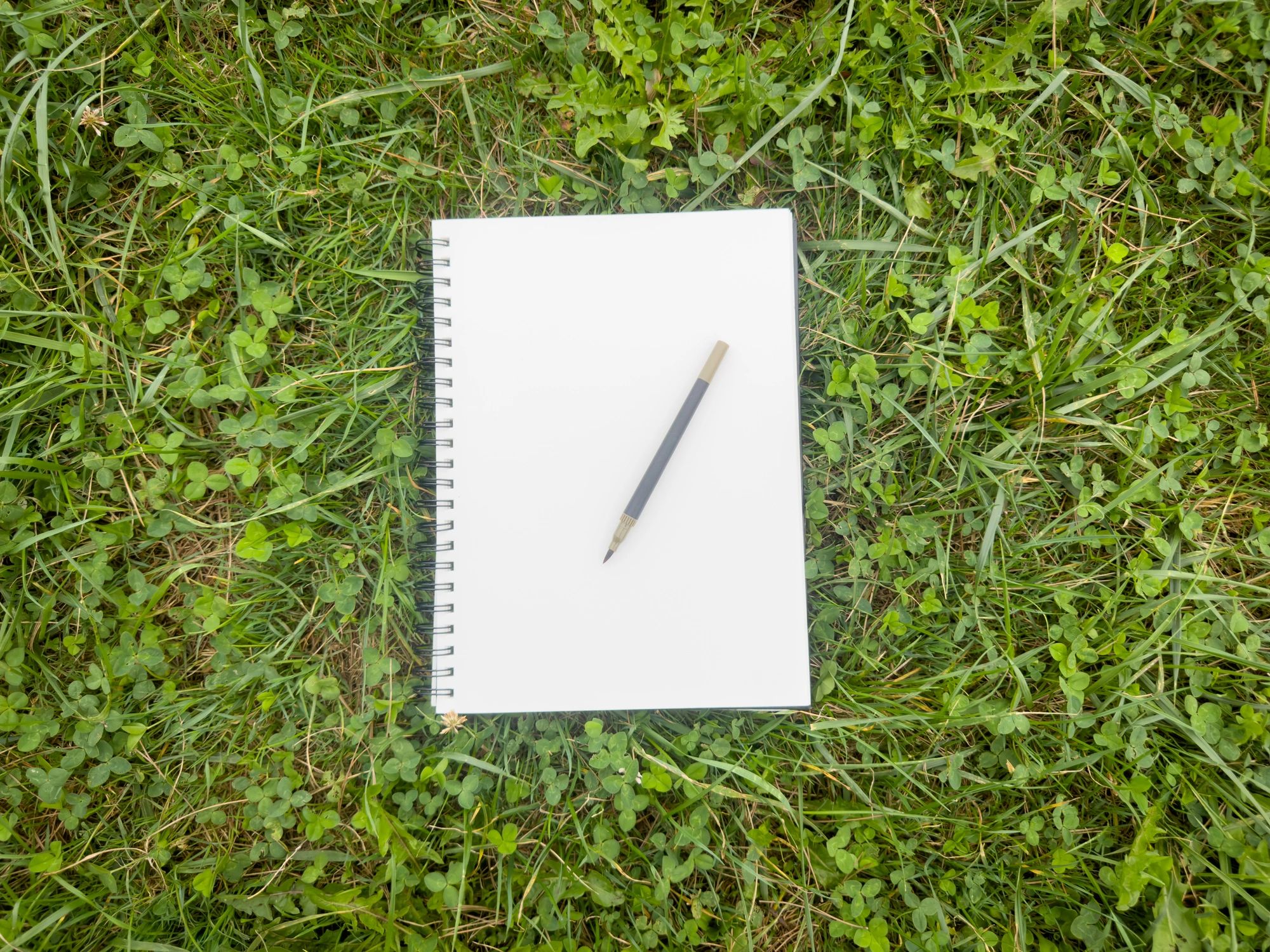 Blank notebook and pencil on grass